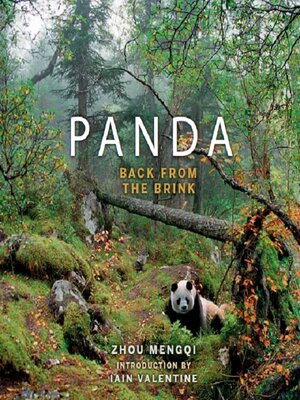 cover image of Panda